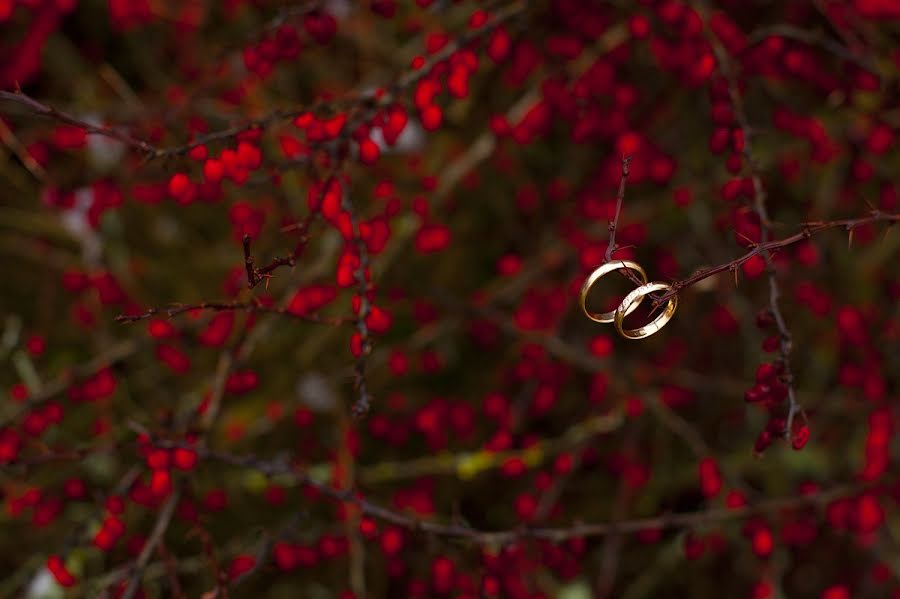 Bryllupsfotograf Elena Scherba (avinion). Bilde av 18 desember 2012