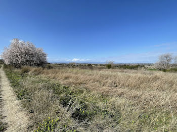 terrain à Beziers (34)