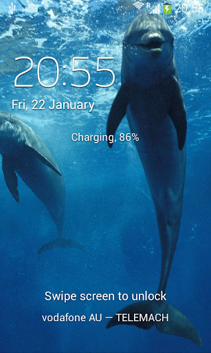 Dolphins Live Wallpaper