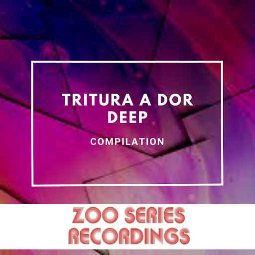 Plexus Youtube Music