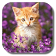 Double Cat Live Wallpaper icon