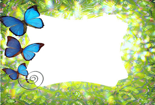 Butterfly Frames Photo Effects