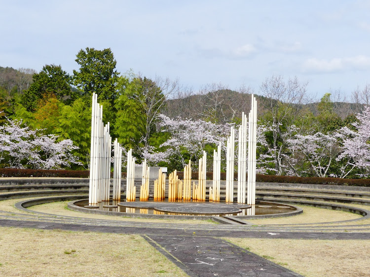 の投稿画像8枚目