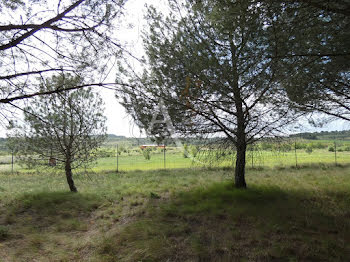 villa à Peyriac-Minervois (11)