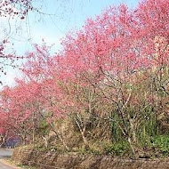 石水坊花園咖啡