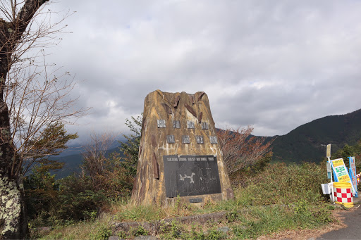 市 天気 秦野