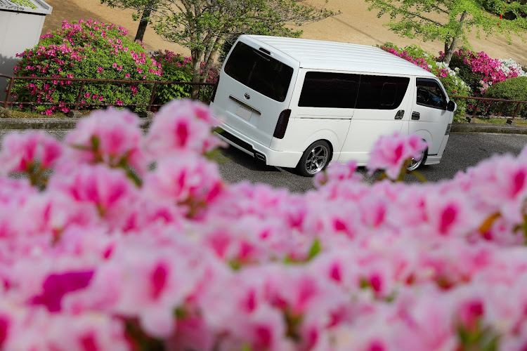その他のGo For Custom(合法カスタム)・Go For Custom・夜間撮影協会・ツツジと初コラボ\(//∇//)\・花だけを撮影してみたに関するカスタム事例の投稿画像1枚目