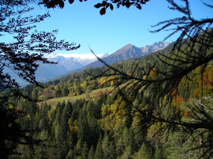 Finestra sull'autunno. di Mara S.