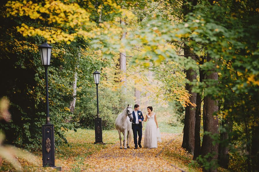 Fotógrafo de bodas Denis Komarov (komaroff). Foto del 10 de diciembre 2014