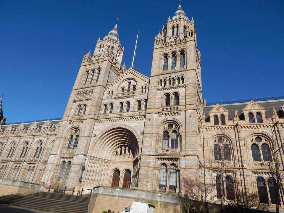 Musée D'Histoire Naturelle, Musée, Uk, 