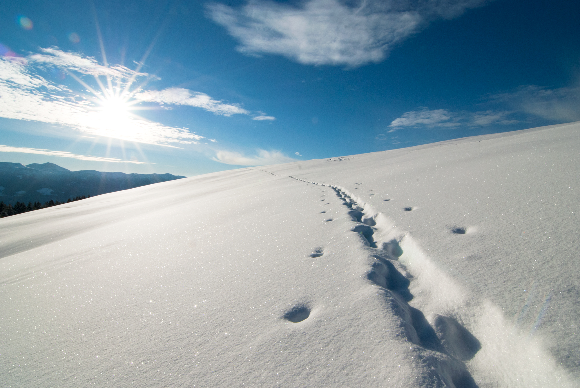 walking towards the sun di Reflexionist