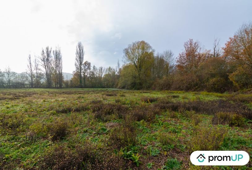  Vente Terrain agricole - 74 048m² à Molières (82220) 