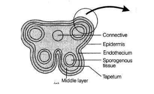 Solution Image