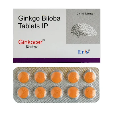 GINKOCER 40MG TAB 10'S