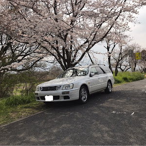 ステージア WGC34