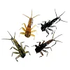 miniatures image - 1