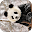 Panda Live Wallpaper : backgrounds hd Download on Windows