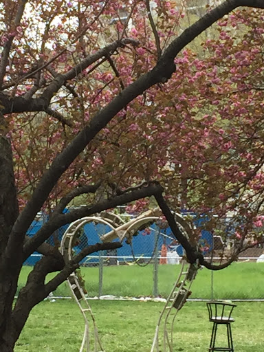 Heart Shaped Archway