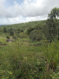 terrain à batir à La trinite (972)