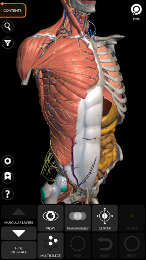 Screenshot Anatomy 3D Atlas