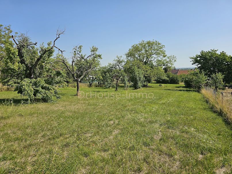 Vente terrain  5000 m² à Gannat (03800), 81 500 €