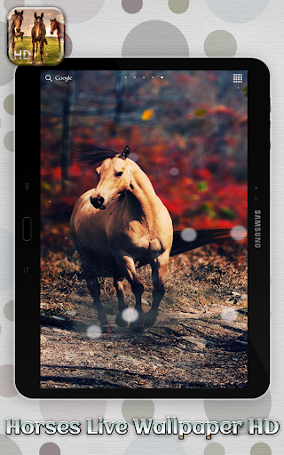 免費下載攝影APP|Horses Live Wallpaper HD app開箱文|APP開箱王