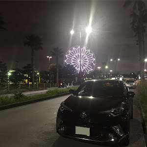 C-HR ZYX10