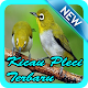 Download Kicau Burung Pleci For PC Windows and Mac 1.0