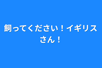 飼ってください！イギリスさん！