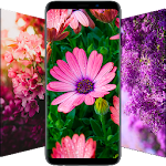 Cover Image of ダウンロード HD、4Kの花の壁紙 3.0.20 APK
