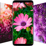 Cover Image of 下载 🌺 Flower Wallpapers - Colorful Flowers in HD & 4K 3.0.20 APK