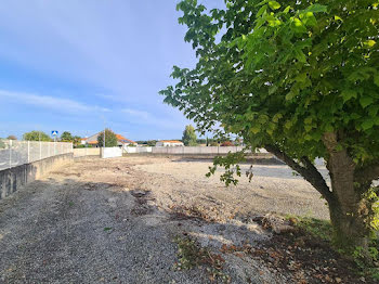 terrain à Saint-Sulpice-de-Royan (17)