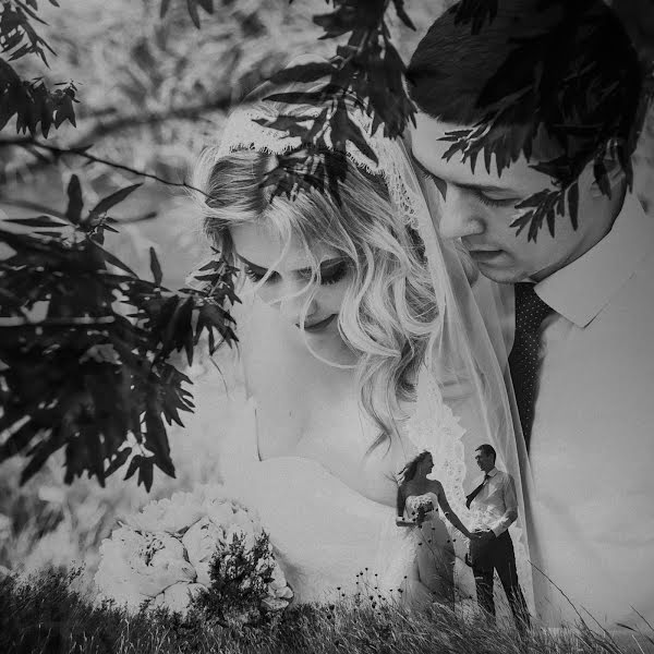 Wedding photographer Polina Pavlikhina (polinapavlihina). Photo of 2 November 2016