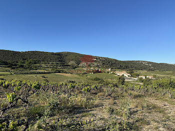 terrain à Montpeyroux (34)