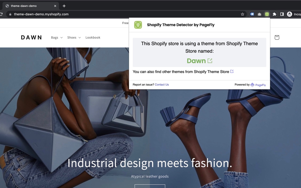 Shopify Theme Detector by PageFly Extension Preview image 0