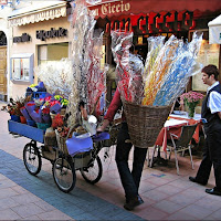 COLORI E FIORI di 