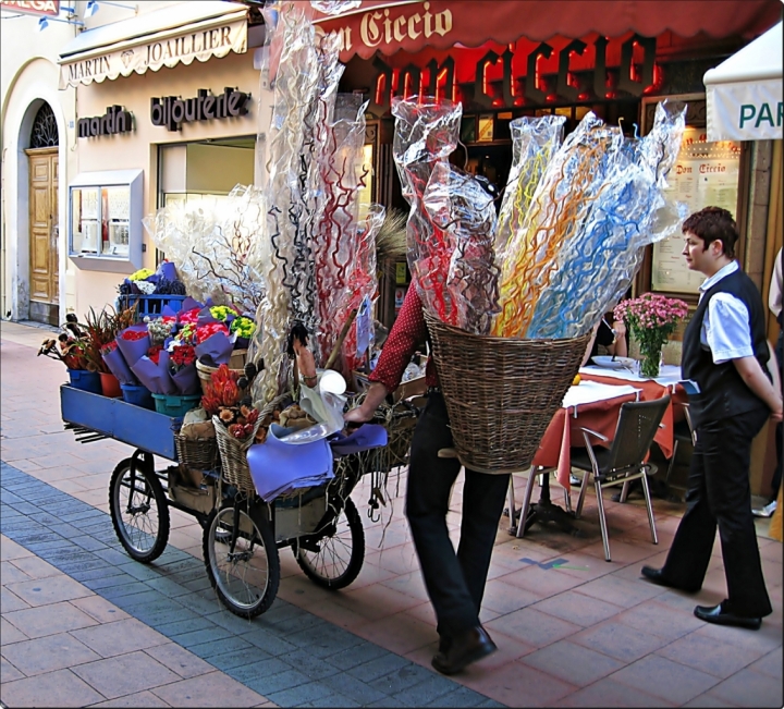 COLORI E FIORI di lonni