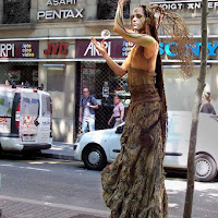 La grazia stà in un albero di 