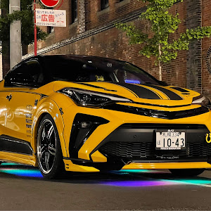 C-HR NGX10