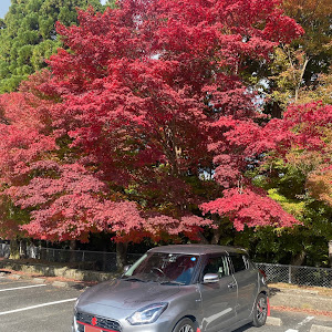 スイフト ZC53S