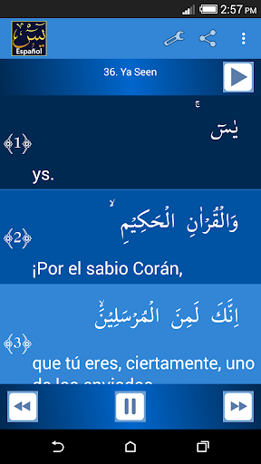 Surah Yaseen Turkish