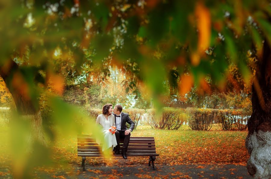 Wedding photographer Olga Nikolaeva (avrelkina). Photo of 4 November 2017