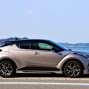 C-HR ZYX10