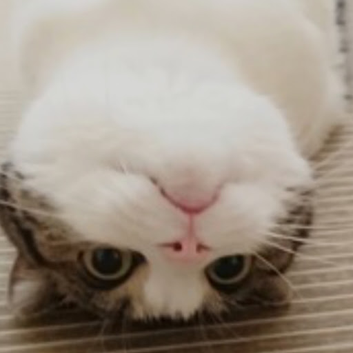 かずのプロフィール画像