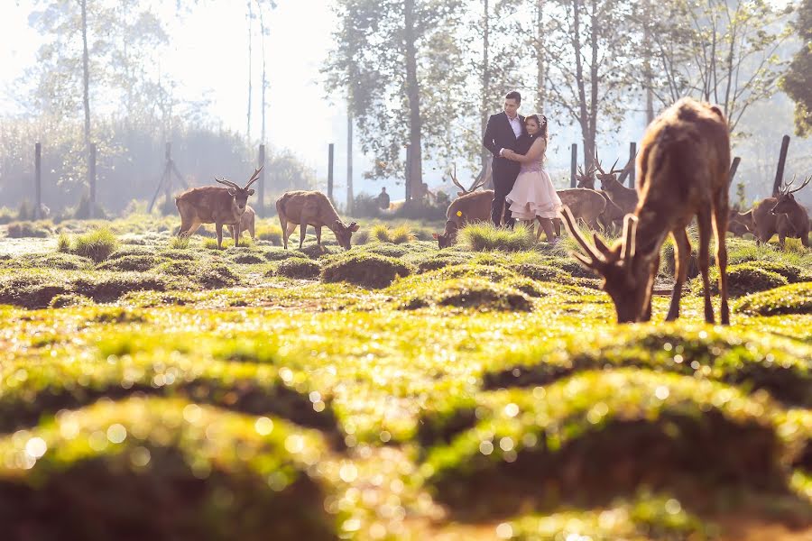 Photographe de mariage Tania Salim (taniasalim). Photo du 3 novembre 2015