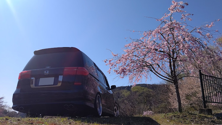 エリシオンプレステージのサクラと愛車に関するカスタム事例の投稿画像4枚目