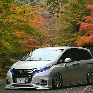 オデッセイ RC1
