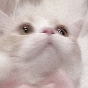 ♩