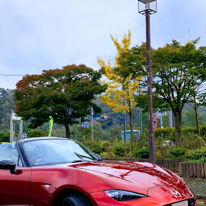 ロードスター ND5RC