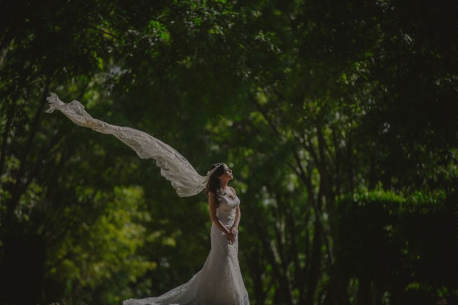 Fotografo di matrimoni Alejandro Gutierrez (gutierrez). Foto del 9 novembre 2016